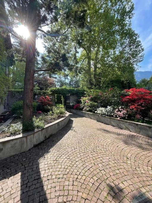 Appartement Domus Aurea à Bozen Extérieur photo